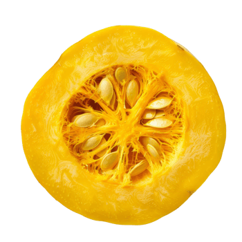 Squash Isolated on a Transparent Background png