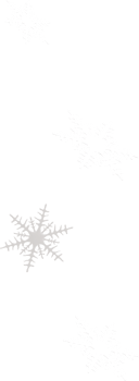 falling white snowflakes png