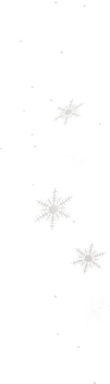 falling white snowflakes png