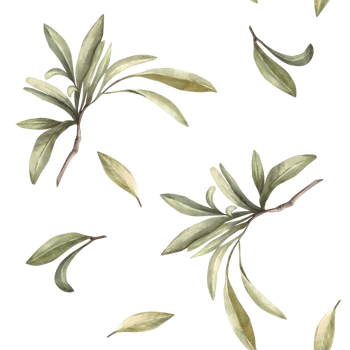 Olive branch, no fruit with green leaves. Watercolor botanical floral seamless pattern Hand drawn nature leaf illustration for food oil label paper, fabric, wallpaper, packaging on isolated background png