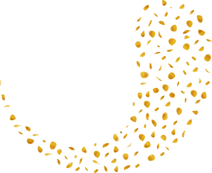 yellow rose petals png