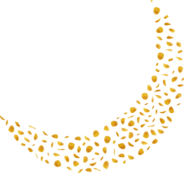 yellow rose petals png