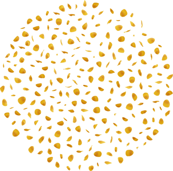 golden rose petals png