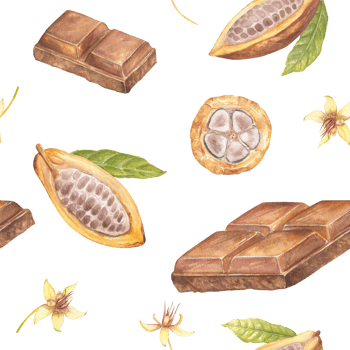 Seamless pattern with cocoa fruit and chocolate watercolor illustration, hand drawn sketch of vegetable, leaves, flowers. Botanical drawing of tropical fruit. Engraving for food packaging design png