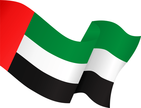 United Arab Emirates or UAE flag png