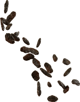 falling brown raisins png