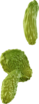 raisin a dried fruit png