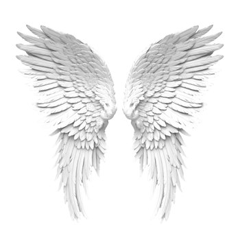 Angel wings isolated on transparent background png