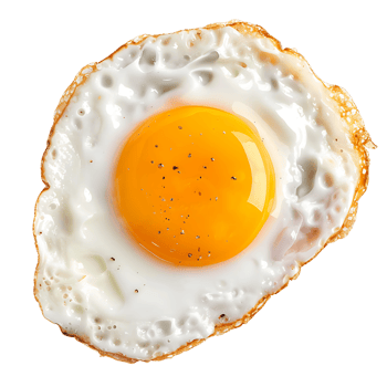 Fried Egg Isolated on Clear Background png