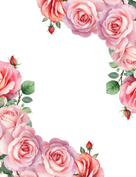 Pink rose border clipart, Flowers bloom frame background png