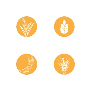 Agriculture wheat logo template and symbol vector