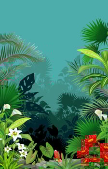 beautiful forest with tropical plant and flowers background vector