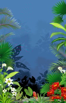 beautiful forest with tropical plant and flowers background vector