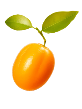 orange fruit with green leaves on a transparent background png