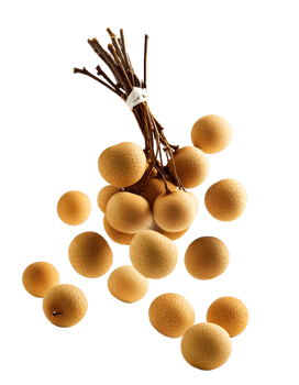 longan fruit on a transparent background png