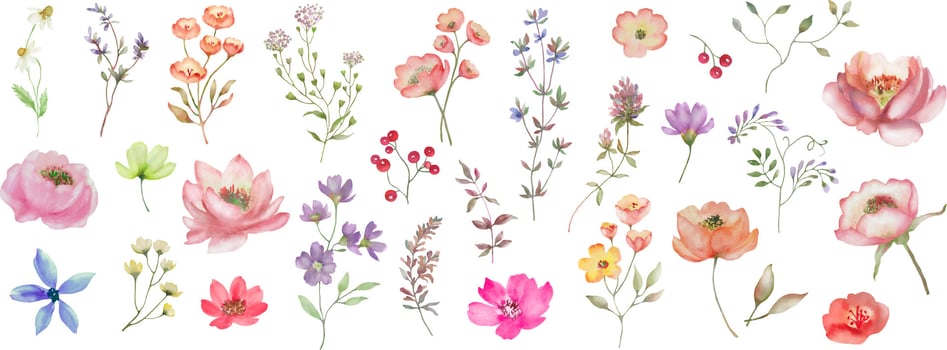 Watercolor floral set. Hand drawn illustration isolated on white background. vector