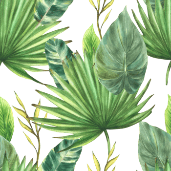 Tropical leaves seamless pattern. Jungle plants, exotic green foliage. Floral watercolor hand drawn illustration Palm, creeper, Philodendron greenery. Summer repeating clipart on isolated background. png