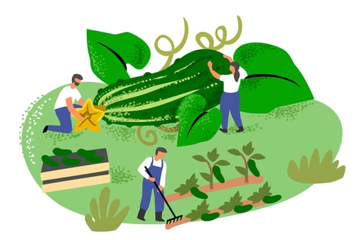 People with big cucumber. Character in garden harvesting. vector