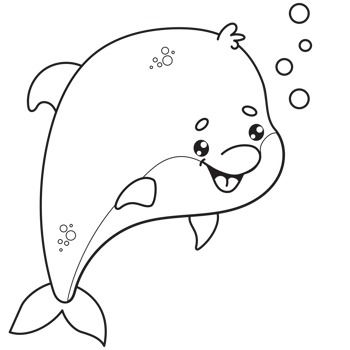 Cute dolphin drawing png