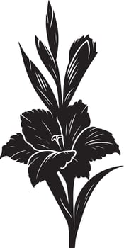 gladiolus flower color vector