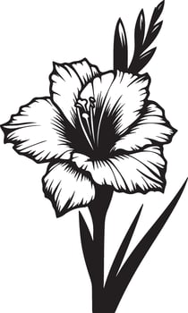 gladiolus flower color vector