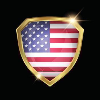USA Flag Golden Shield Logo vector