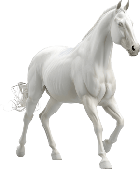 a white horse running on a transparent background png
