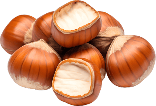 hazelnut on a transparent background png