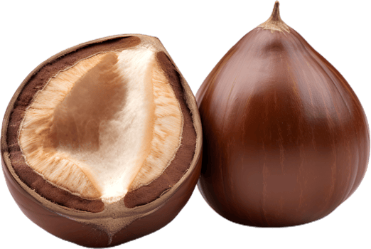 hazelnut on a transparent background png