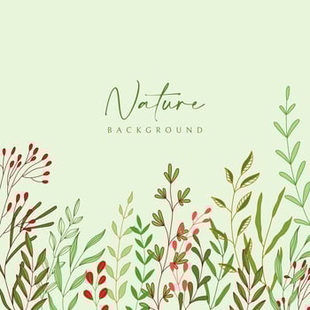 nature leaf drawing boutanical background vector