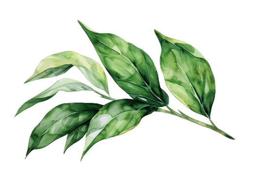 Watercolor Illustration of Various Green Leaves. png