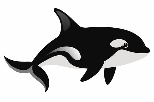 Black and white killer whale isolated on a white background. Concept of ocean creature illustration, minimalist style, marine life, orca whale. Print, icon, logo, template, digital art. vector