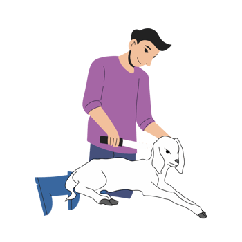 Eid adha illustration png