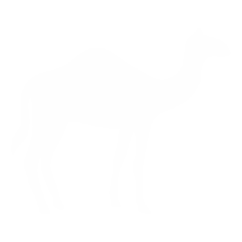 Camel illustration character png