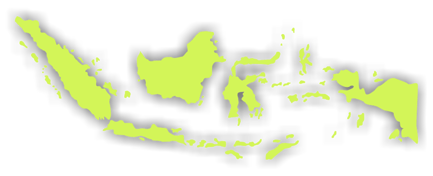 Indonesian Map in Green Color, Map of Indonesia, can use for App, Art Illustration, Website, Pictogram, Infographic or Graphic Design Element png