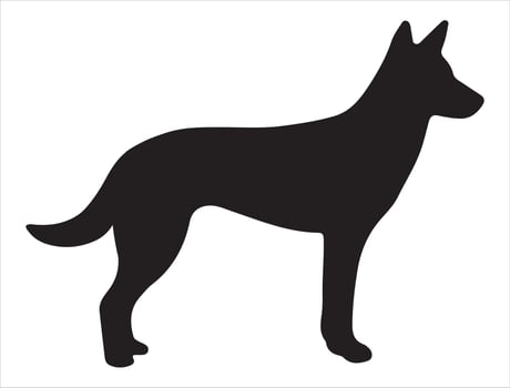 Dingo silhouette on white background vector