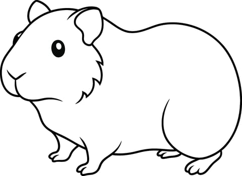 Guinea Pig black and white illustration for coloring book vector
