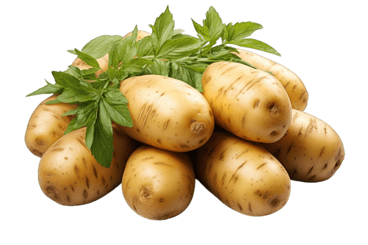 Potatoes healthy daily using vegetable with leaves transparent background cutout png