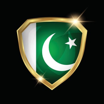 Pakistan Flag Golden Shield Logo vector