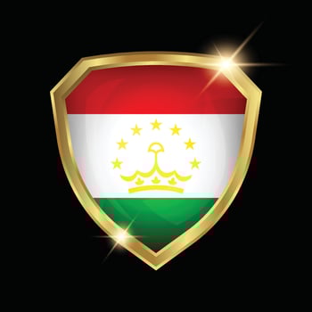 Tajikistan Flag Golden Shield Logo vector