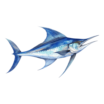 Blue Marlin, Animal Illustration. Watercolor Style png