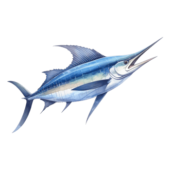 Blue Marlin, Animal Illustration. Watercolor Style png