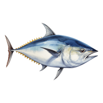 Tuna, Animal Illustration. Watercolor Style png