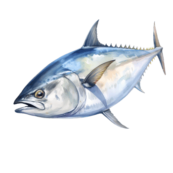 Tuna, Animal Illustration. Watercolor Style png
