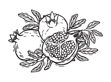 Whole pomegranate fruits and cut fruits, leaves. Botanical black and white illustration, hand drawn in linocut style. Drawing for design of packaging, menus, recipes, cards, textiles vector