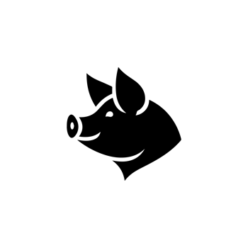 Illustration of Pig icon png