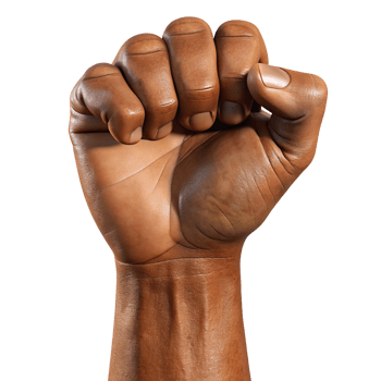Hand Fist Raise 3d Image png