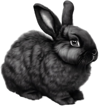 Adorable bunny illustration, soft and cuddly. AI-generated. png