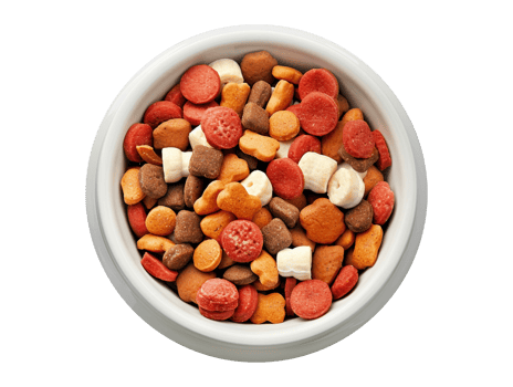 pet food in bowl png
