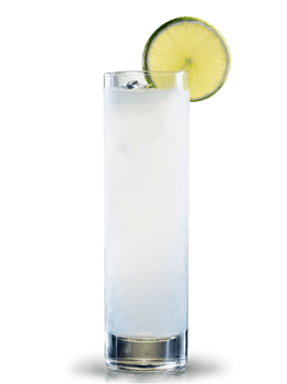 Gin Fizz Clear fizzy cocktail in a tall slender glass garnished with a slice png